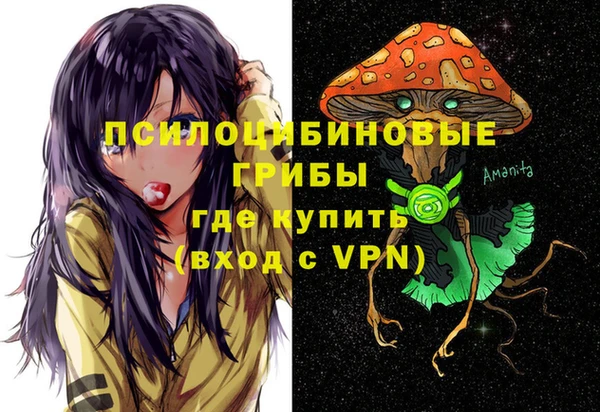 ГАЛЛЮЦИНОГЕННЫЕ ГРИБЫ Лабытнанги