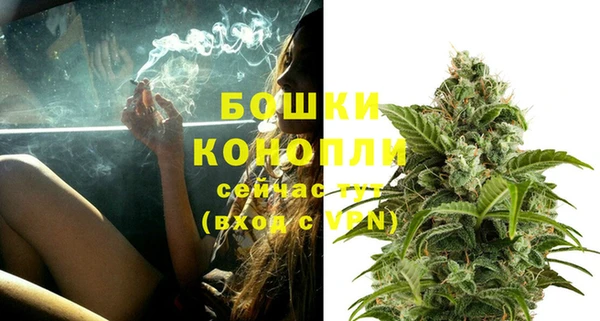 spice Ладушкин