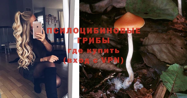 spice Ладушкин