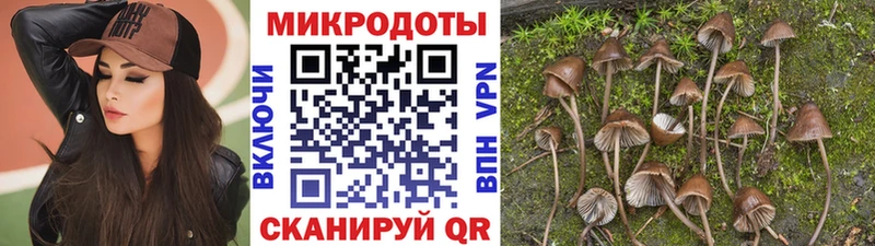 Галлюциногенные грибы Psilocybine cubensis  Купить где  Белореченск 